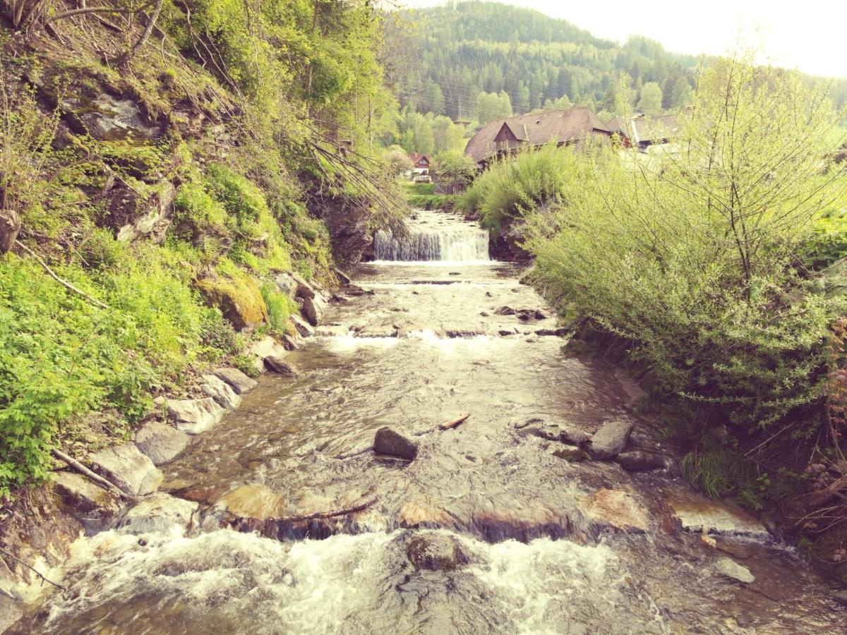 Appartements Hoeller Sankt Lorenzen ob Murau Bagian luar foto